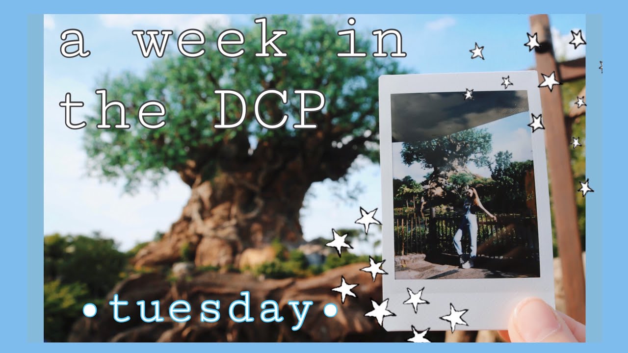 A Week In The DCP || dcp fall 2018