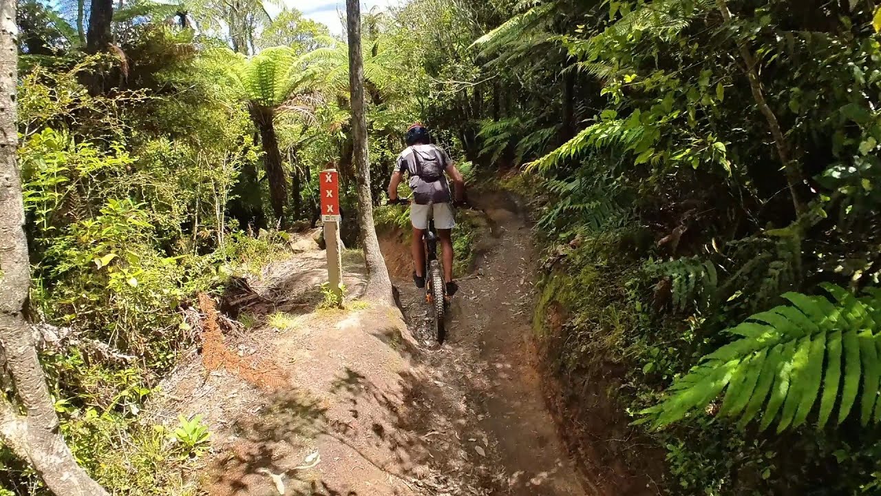 Gunna Gotta - Rotorua Redwoods Marcel Cam