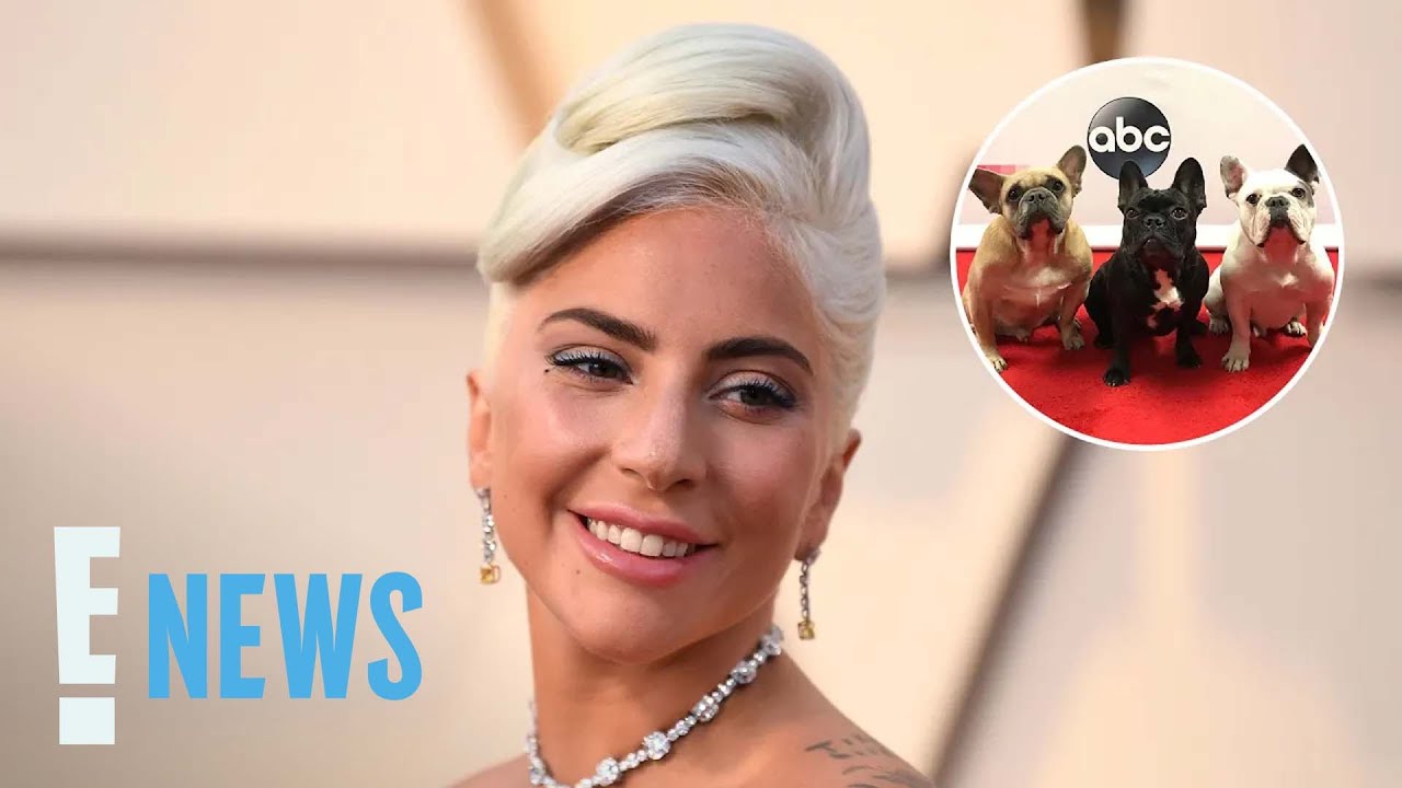 Lady Gaga Welcomes NEW PUPPY, First Since 2021 Dog Kidnapping Incident | E! News