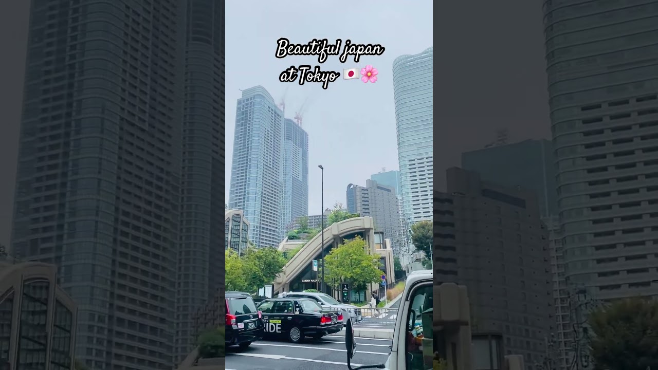 Beautiful japan 🇯🇵🌸 at tokyo city #japan #tokyocity #studenttravel