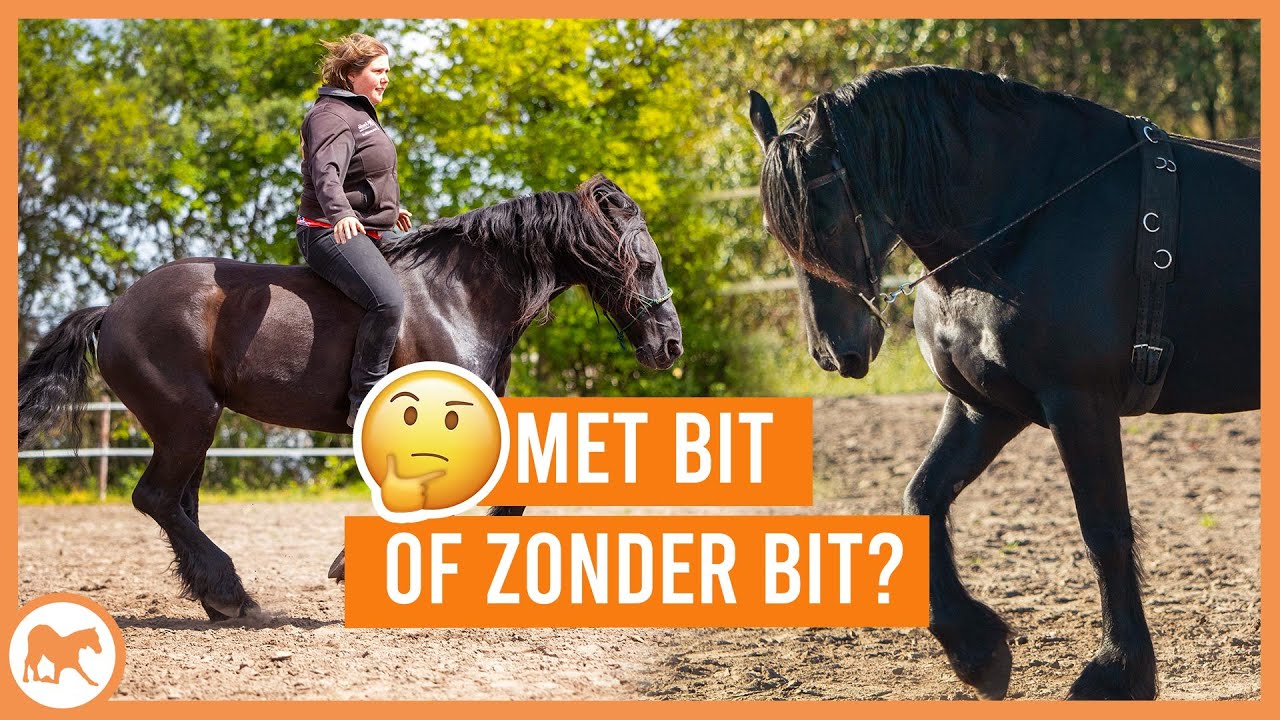 Met BIT of zonder BIT rijden?