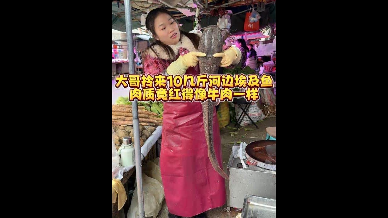 大哥拎来10斤河边埃及鱼，肉质竟红得像牛肉一样 #菜市场 #刀工 #菜刀