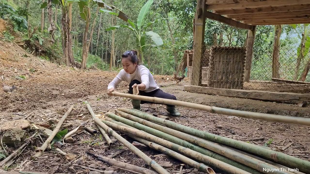 How to make a vegetable garden fence and grow vegetables. Daily life  l  Nguyễn Thị Hanh