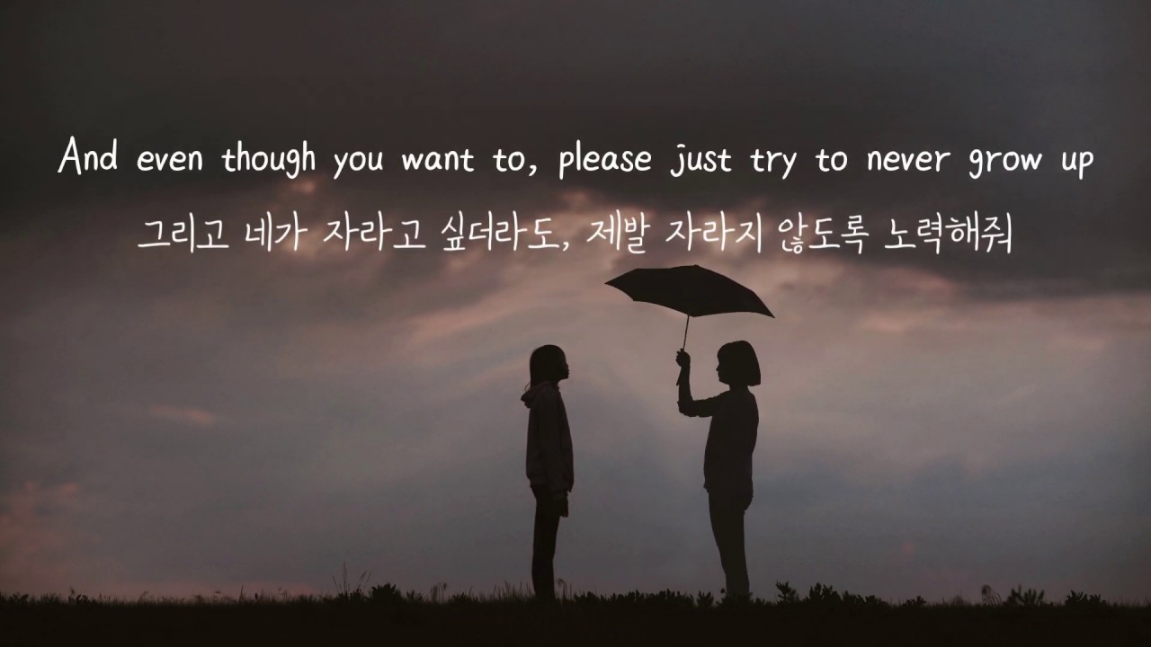 Taylor Swift - Never Grow Up 한글/가사/해석