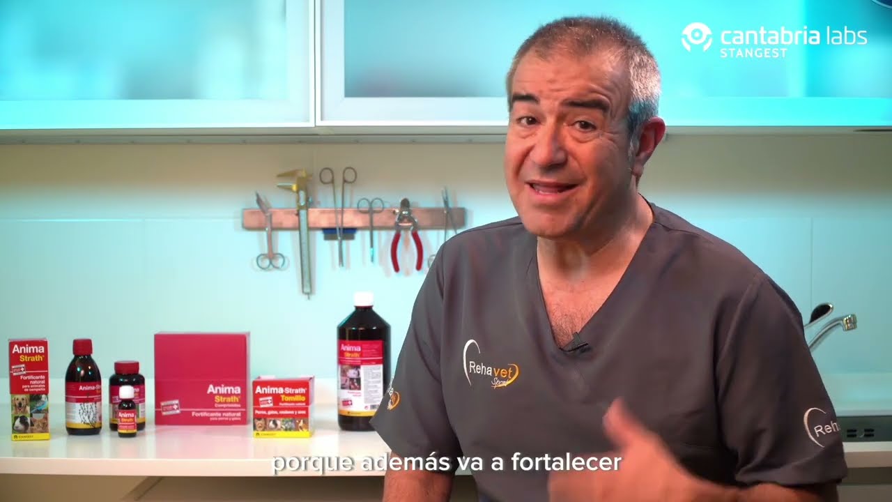 Stangest Tips - Uso clínico de Anima-Strath, con Jorge Luque