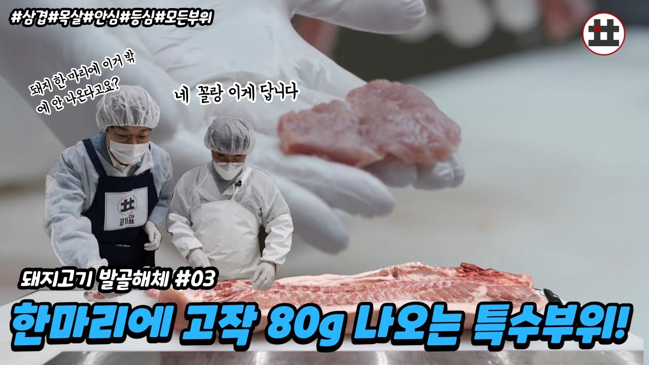 돼지고기 모든 부위 성형해봤습니다. 돼지고기 발골해체쇼 3탄