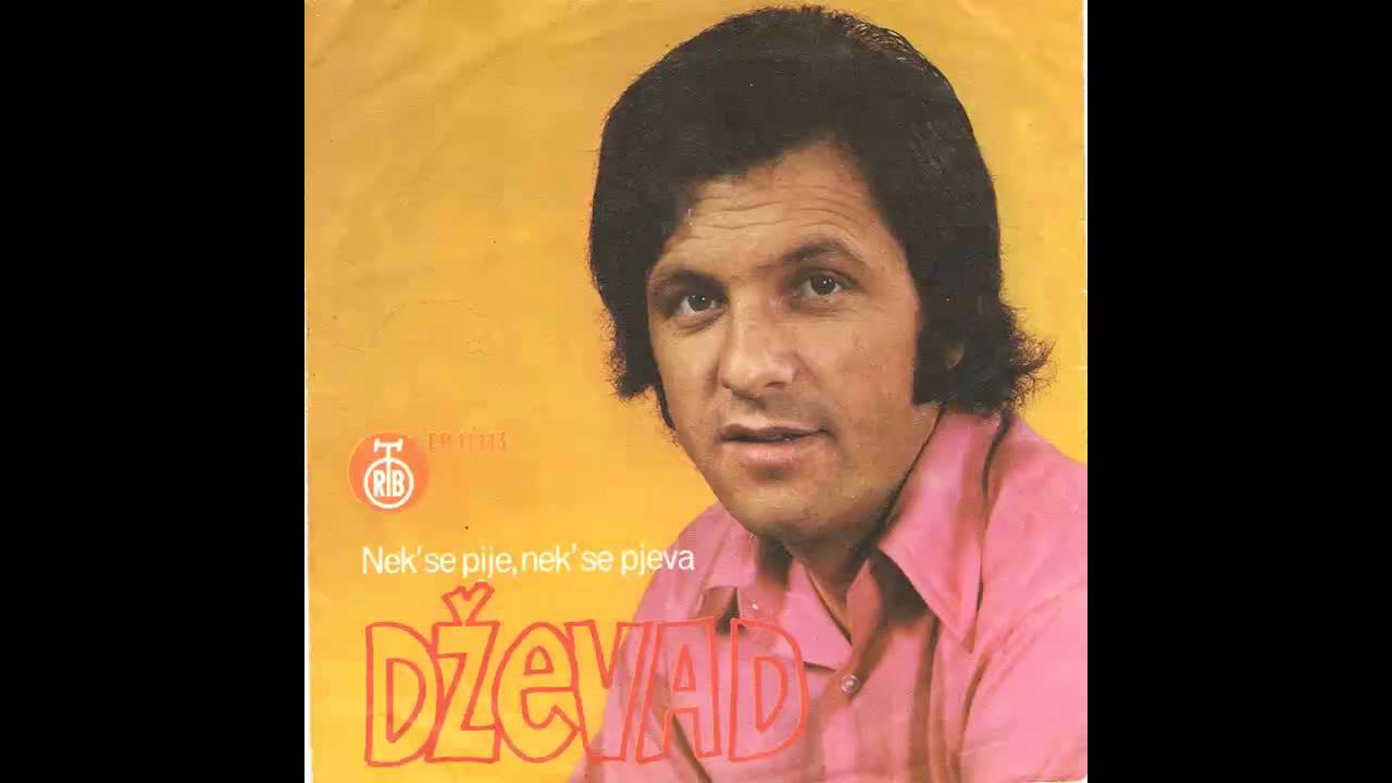 Dzevad Ibrahimagic - Naslednice sine moj - (Audio 1973) HD