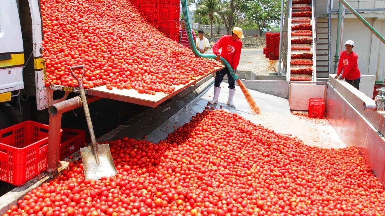 &Omicron;&iota; TOP 10 &Pi;&Iota;&Omicron; &Gamma;&Rho;&Eta;&Gamma;&Omicron;&Rho;&Omicron;&Iota; &Epsilon;&Rho;&Gamma;&Alpha;&Zeta;&Omicron;&Mu;&Epsilon;&Nu;&Omicron;&Iota; &Sigma;&Tau;&Omicron;&Nu; &Kappa;&Omicron;&Sigma;&Mu;&Omicron; | TOPTENGR