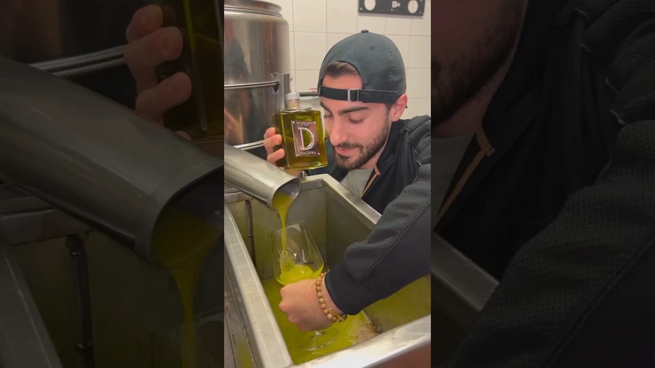 How Italians make their olive oil Part 1