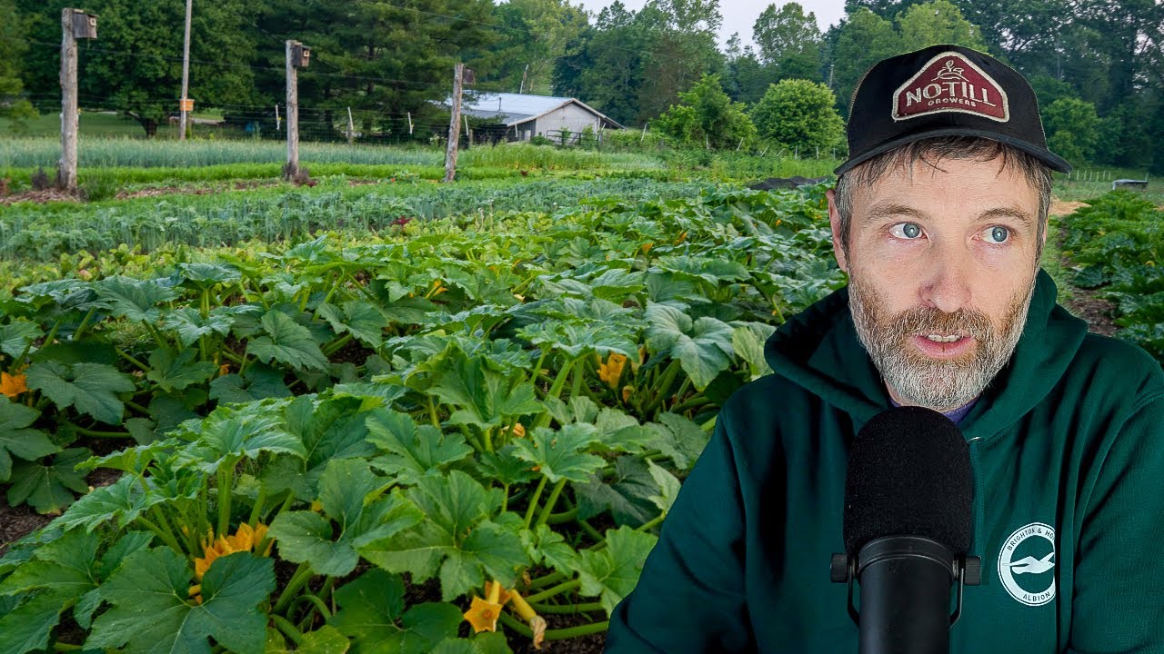 Is the Broadfork Bad for Soil + Growing Squash Without Pests