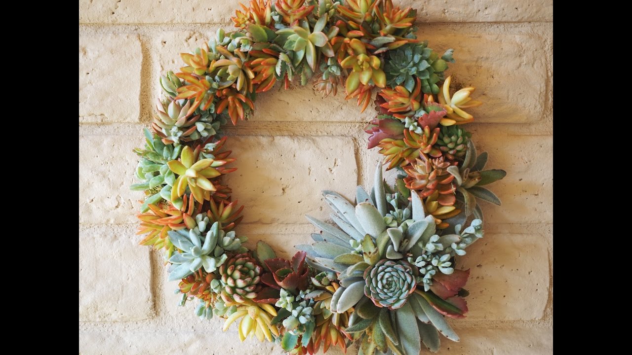 How to Make a Succulent Wreath, DIY