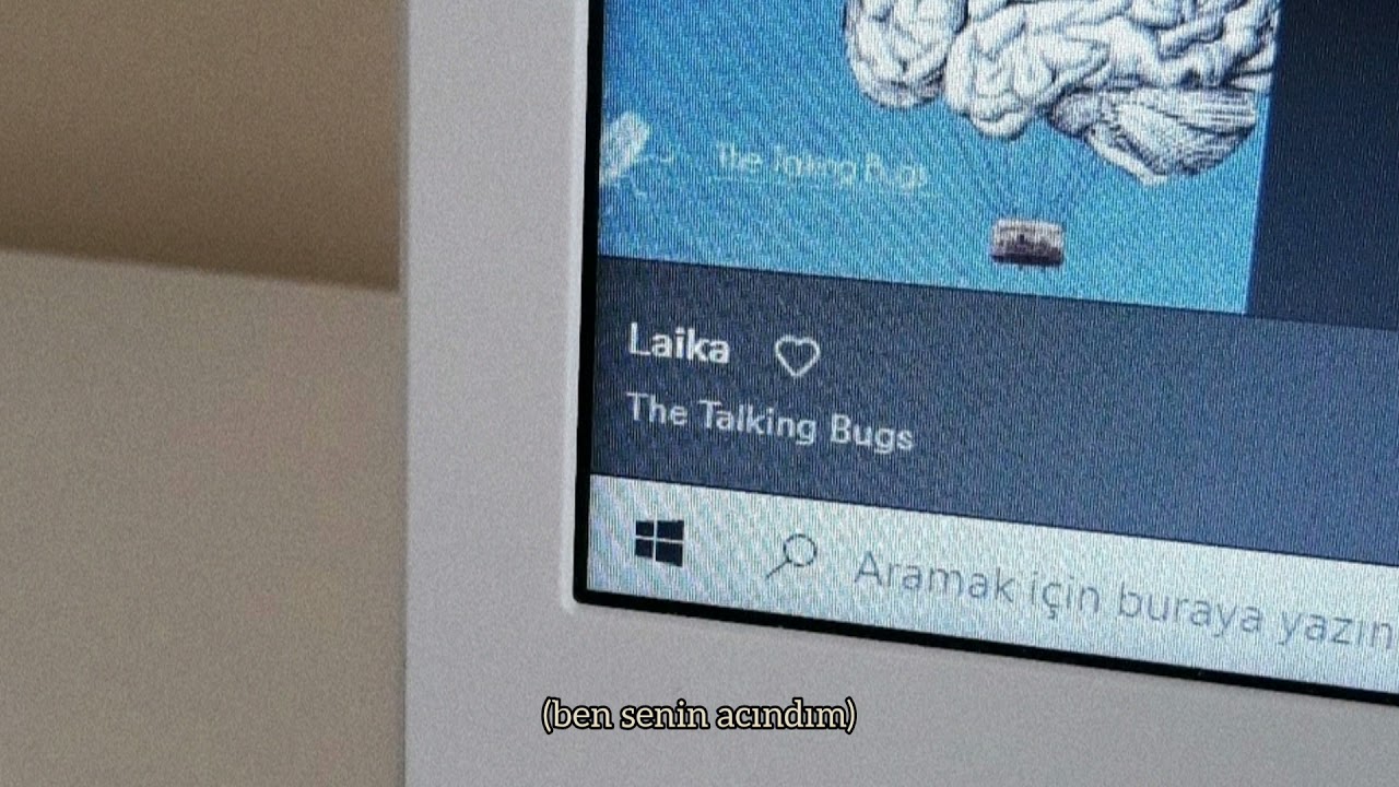 laika | the talking bugs ( türkçe çeviri )