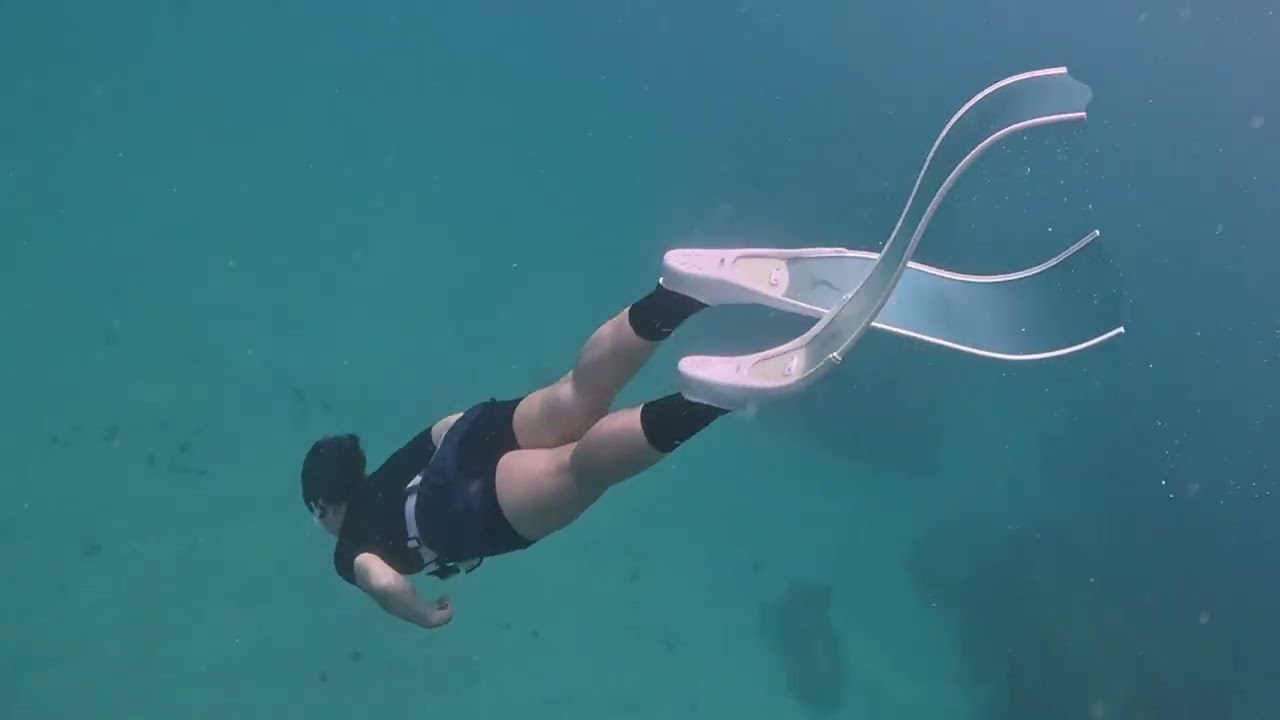 Vlog Part 2 Freedive Legundi - Teluk Hantu