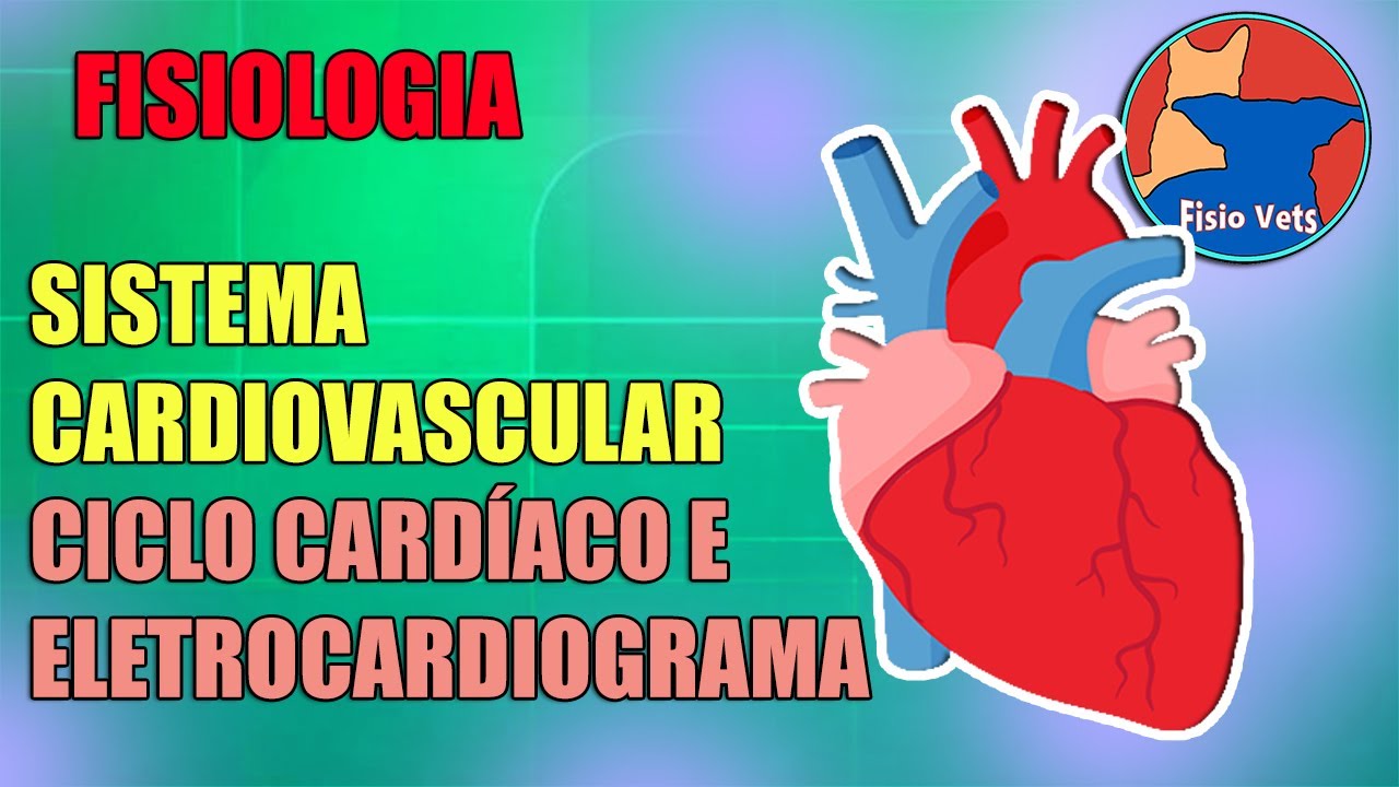 Sistema cardiovascular - Ciclo cardíaco e eletrocardiograma - Fisiologia veterinária - Aula 2