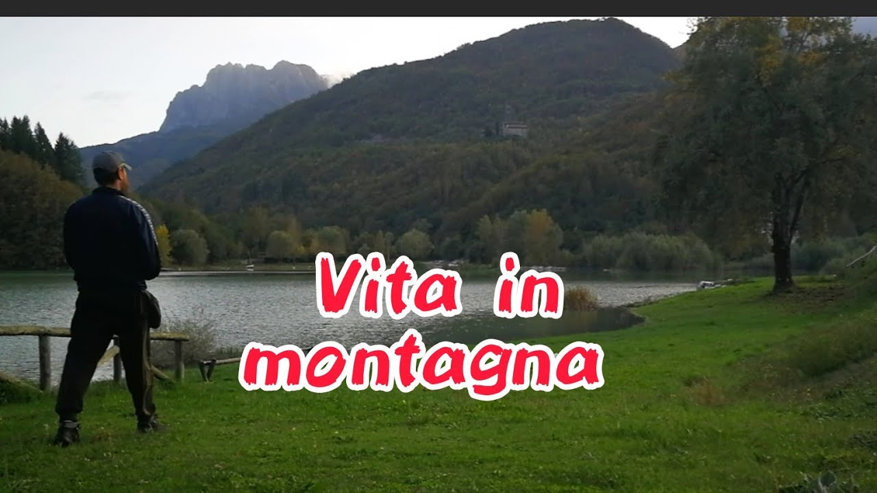 Al tepore della stufa a legna, nel bosco