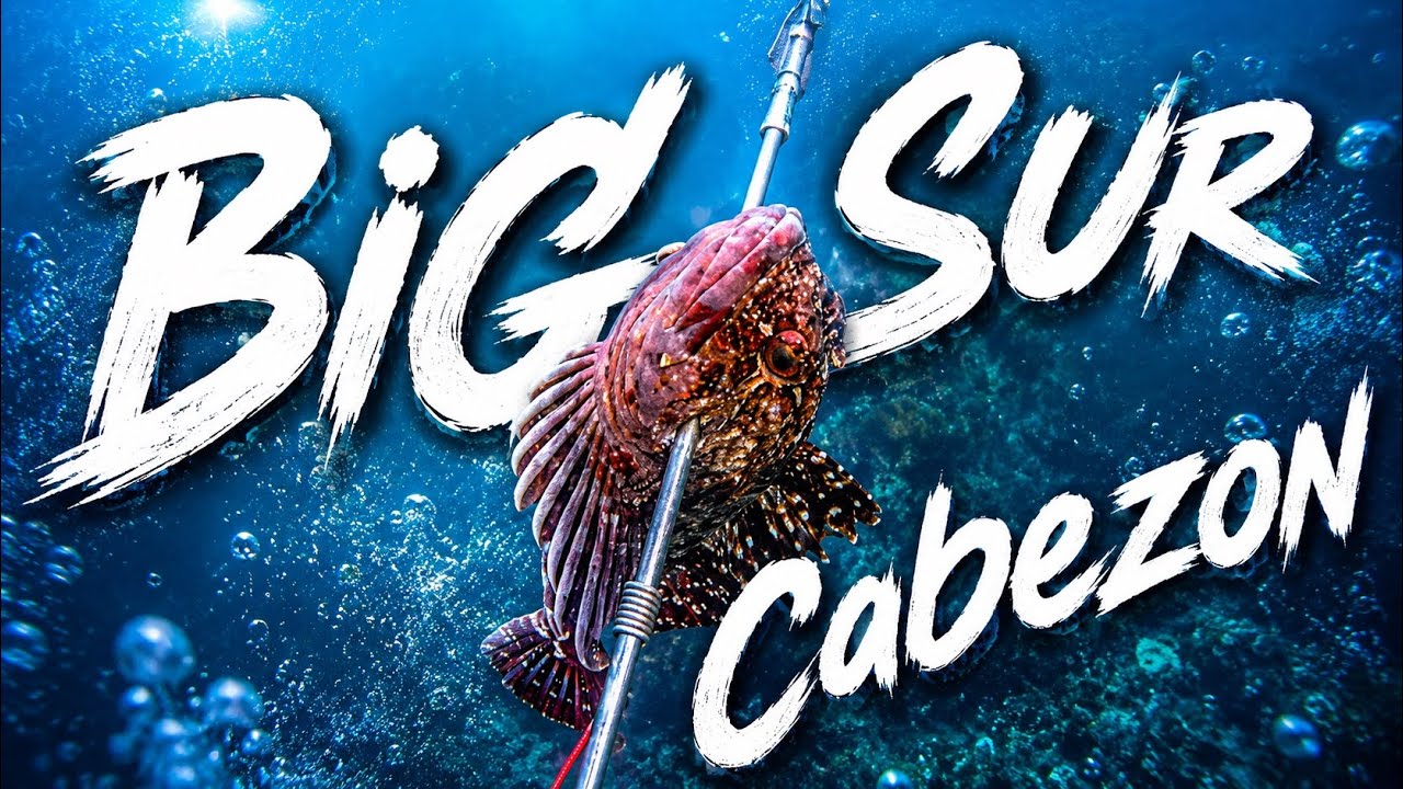 I Catch my Dinner with a speargun - Hunting Cabezon in Big Sur