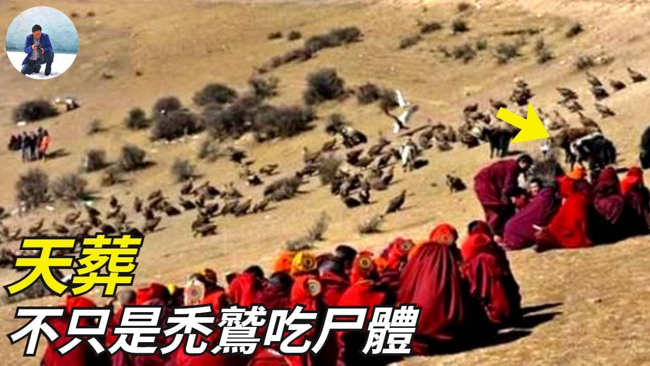 西藏天葬，真正的藏民天葬全過程，禿鷲吃尸體只是其中一環，99%的人都不知道的天葬|藏傳佛教