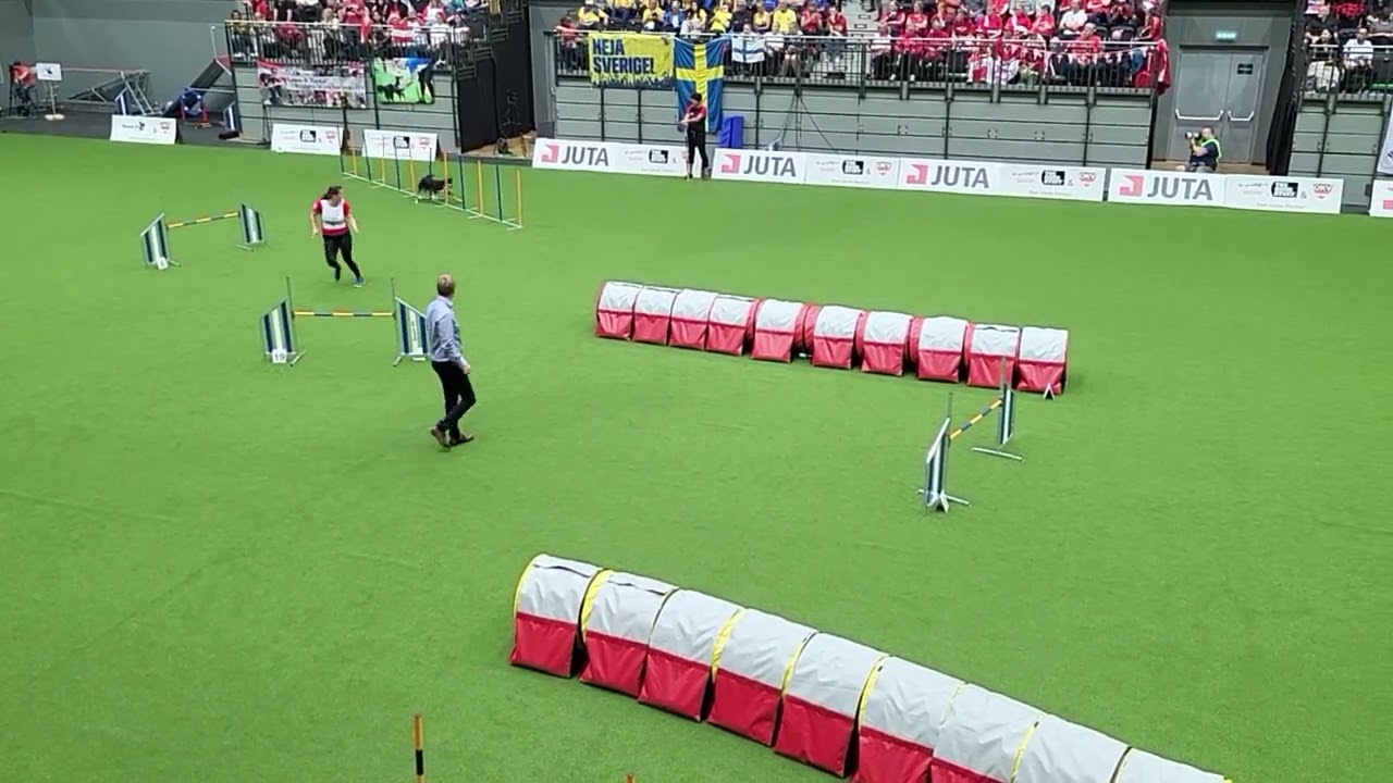 PINO Lara Heinzel AUT Jumping Large Individual FCI AWC 2022