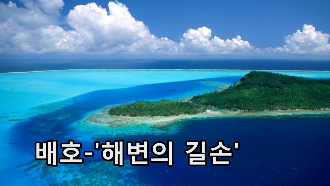 배호~'해변의 길손' (번안곡)