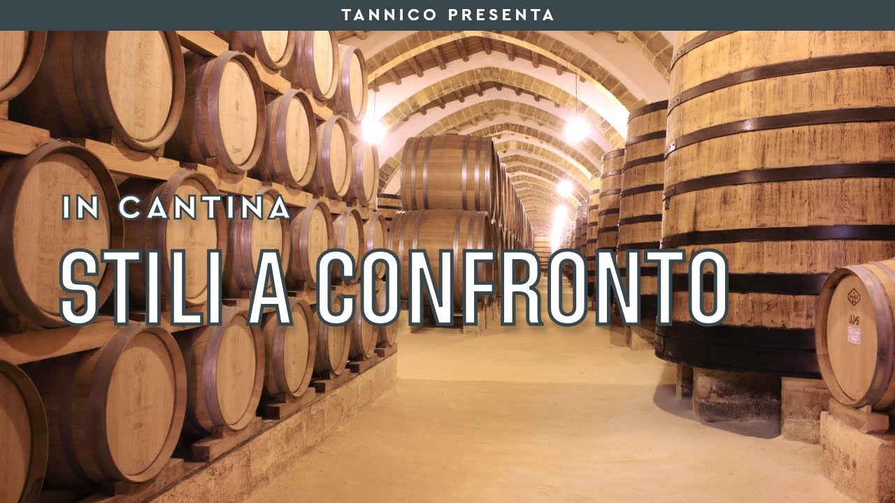 Vini biologici, vini naturali, vini biodinamici: caratteristiche a confronto | Tannico Flying School