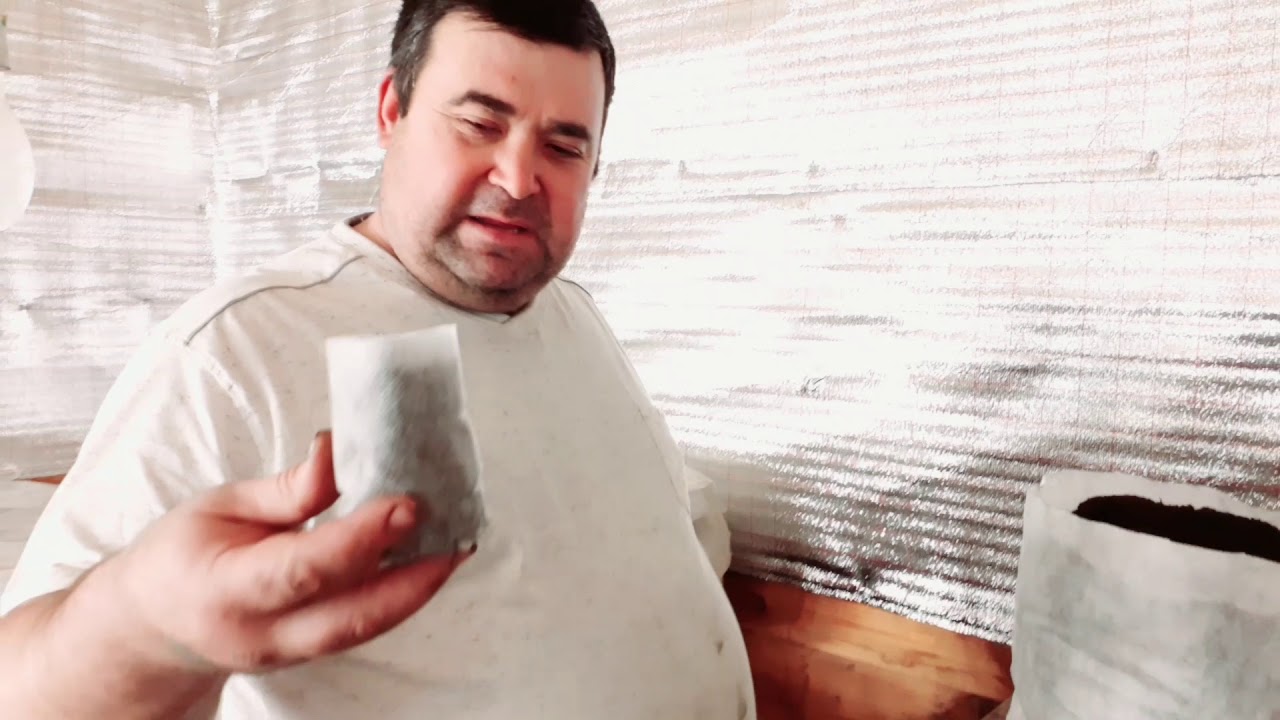 СТАКАНЧИКИ ДЛЯ РАССАДЫ. Универсальный способ.