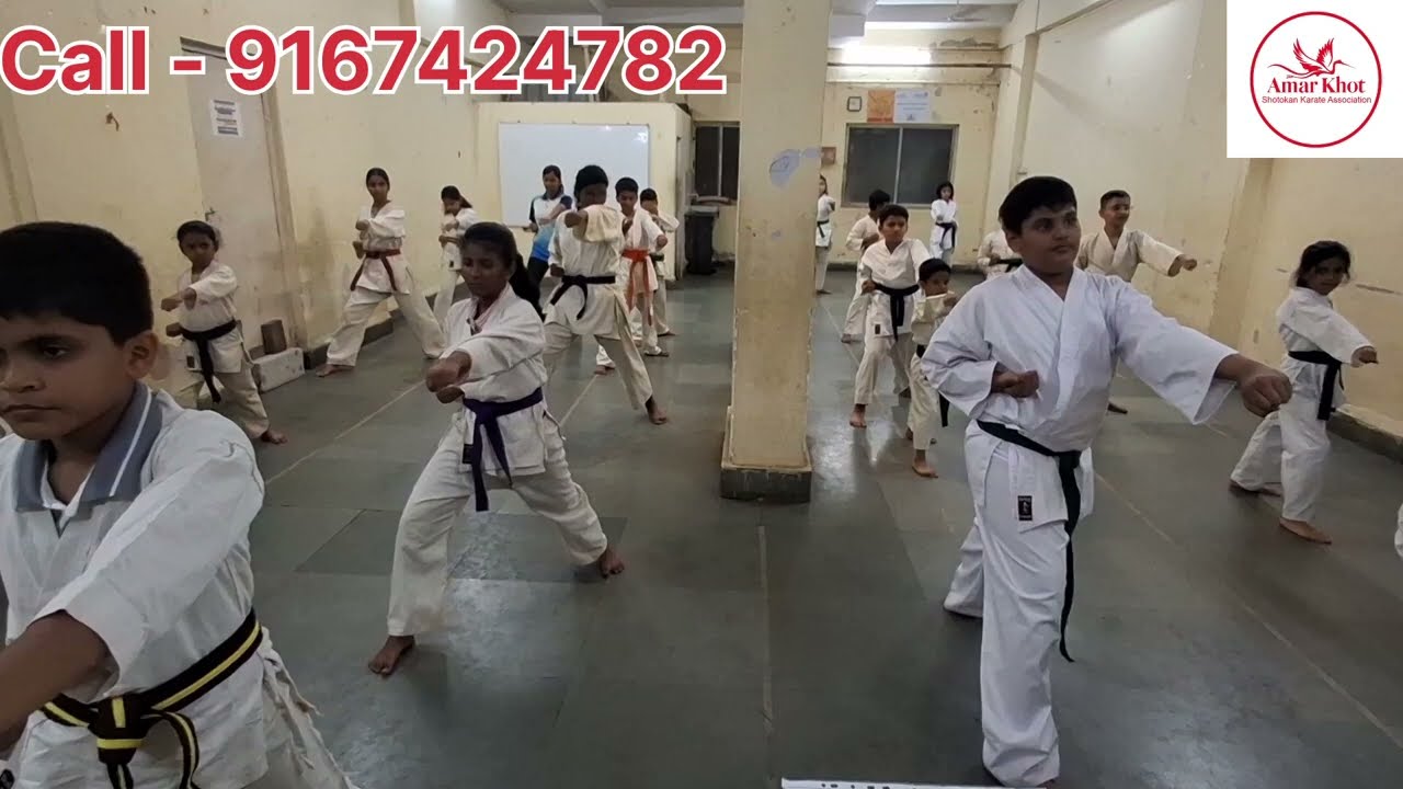 Karate Gyakuzuki practic #karate #karateclasses #taekwondo #taekwando #martialartsclasses #karatedo