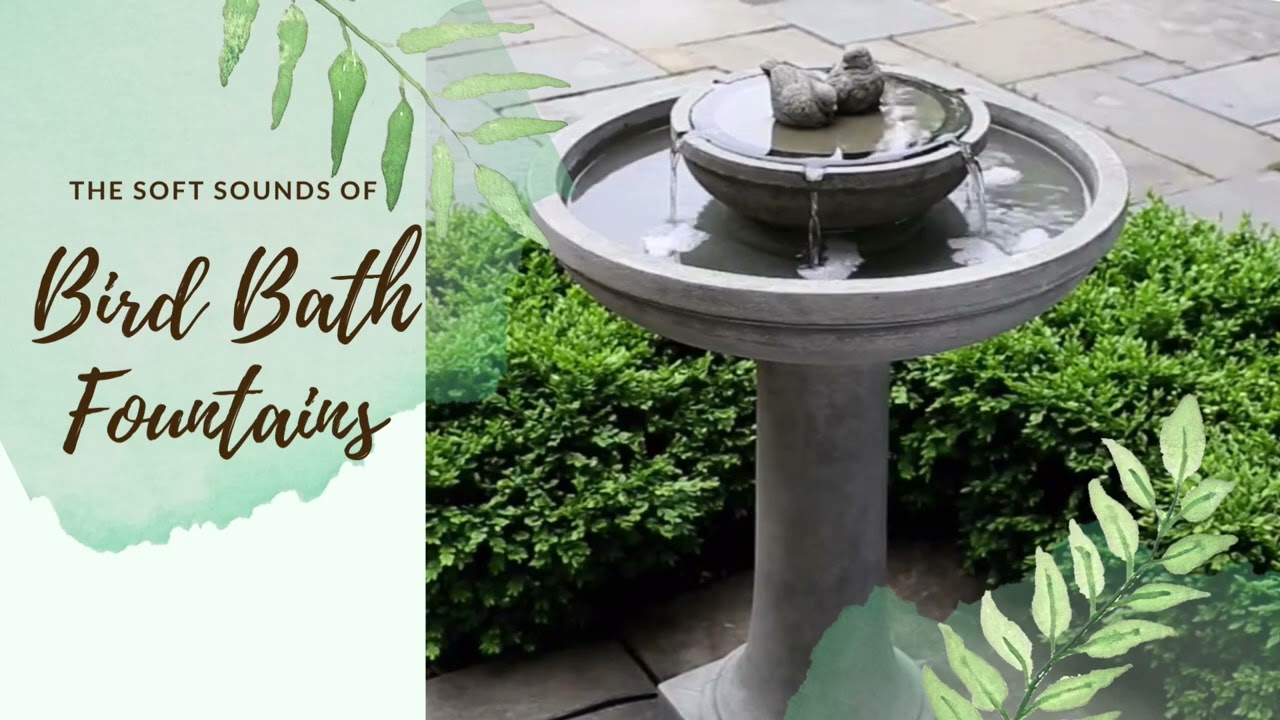 Bird Bath Fountain Video