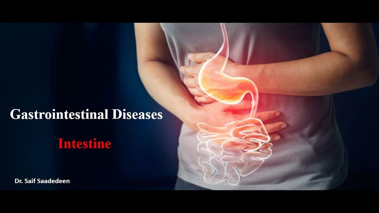 General Medicine   Intestine