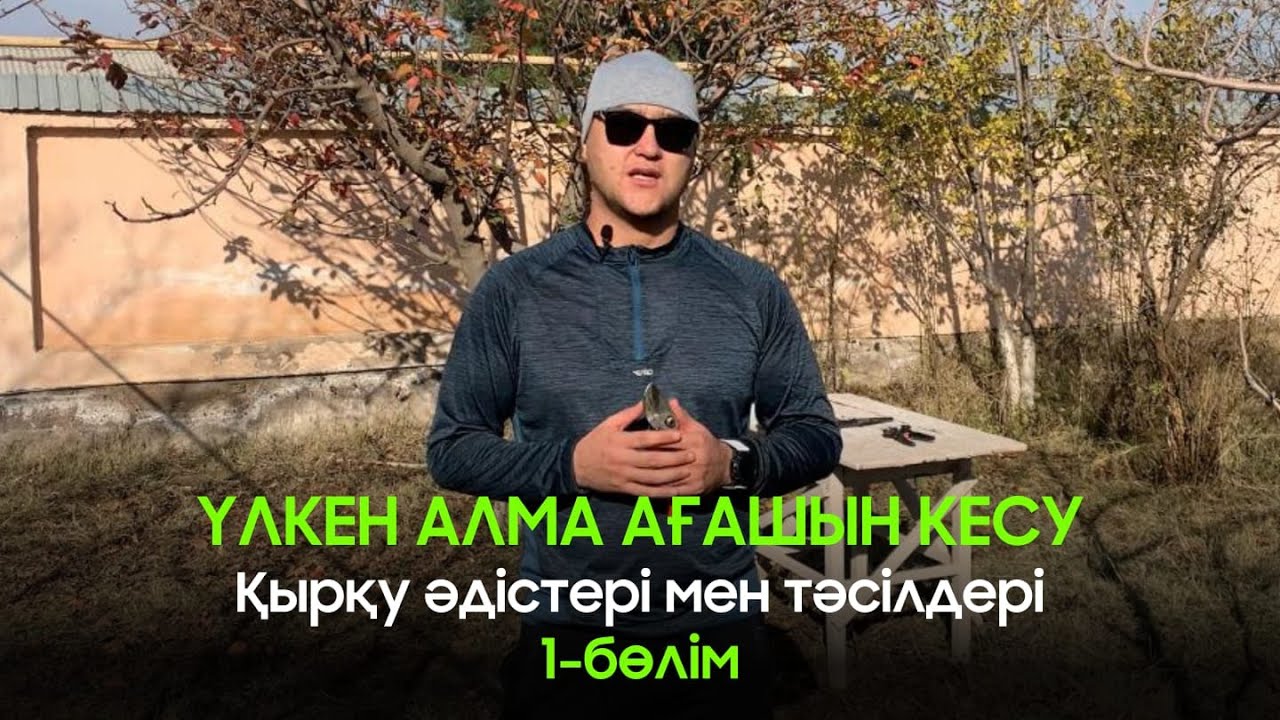 Үлкен алма ағашын кесу / қырқу әдісі мен тәсілдері 1-ші бөлім #ағаш #алма #қазақша #обрезка