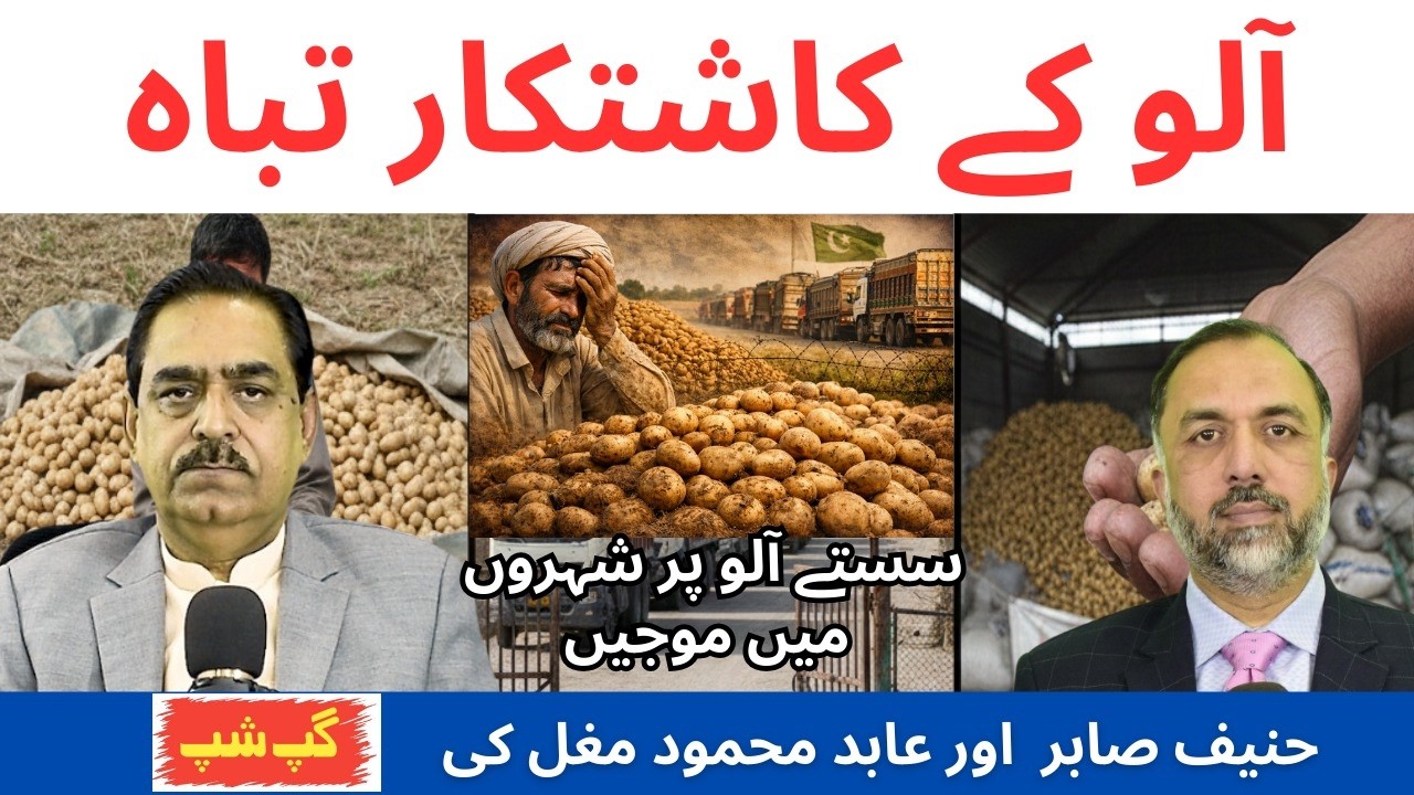 Why Pakistan’s Potato Farmers Are Suffering? Kasur, Okara & Sahiwal in Crisis | Full Report