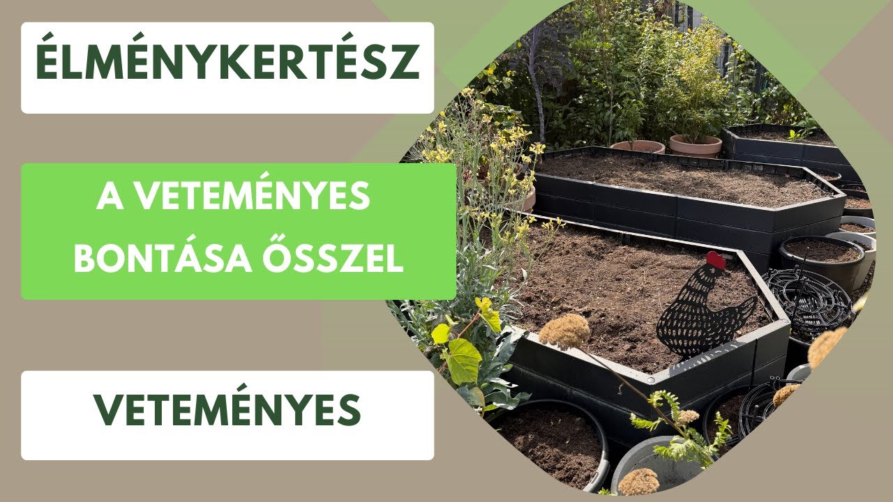 Veteményes bontás ősszel!🍂 Mi lesz a zöldhulladékkal?🍃🌱