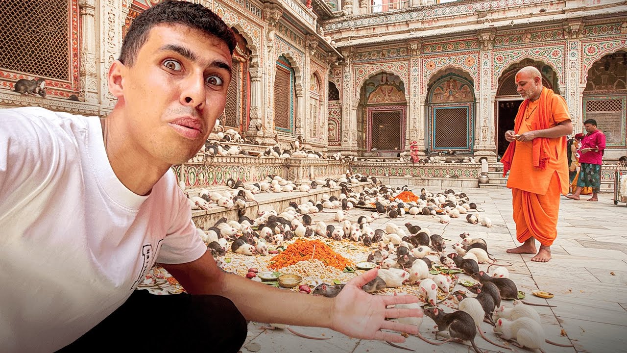 زرت معبد عبدة الفئران في الهند و أكتشفت الحقيقة الو*خة 🤮🇮🇳
