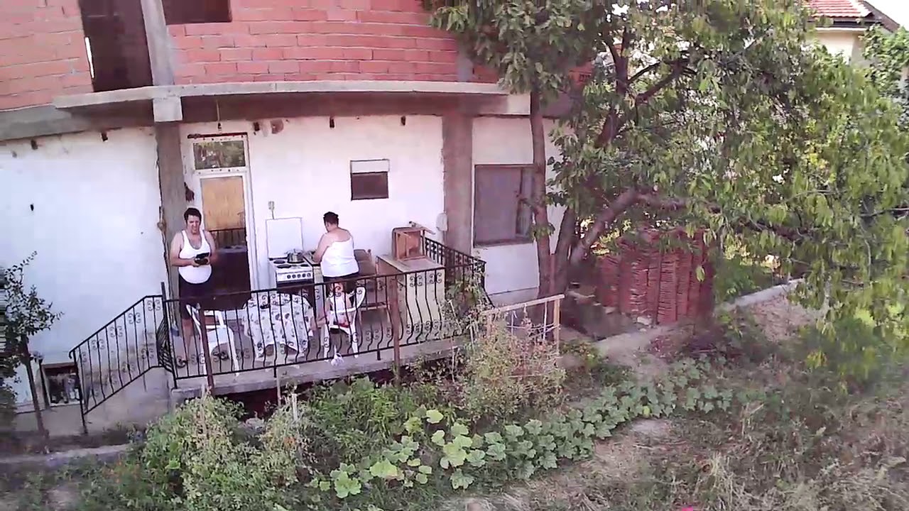 mjx bugs2w test video