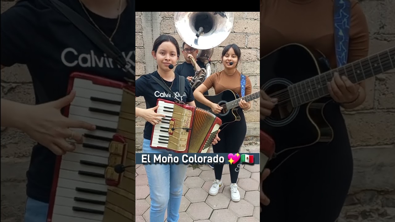 EL MOÑO COLORADO  #lasreynasdelnorteñobanda #nuevostalentos #pueblamusica #regionalmexicano