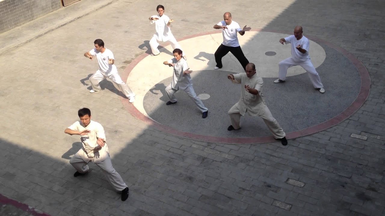 Chen Bing Taiji Quan Lao Jia Yilu