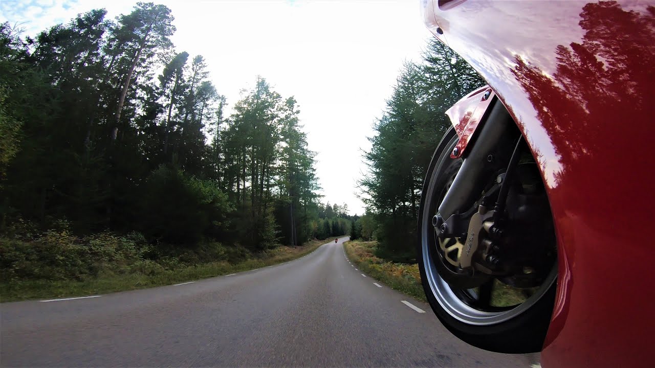 VFR 800 VTEC Last ride of the season with some wheelies