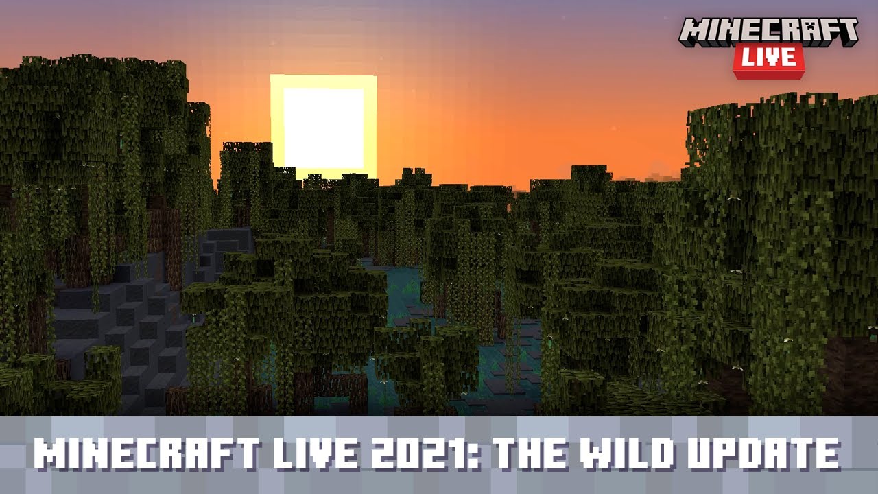 Minecraft Live 2021: A Look at The Wild Update