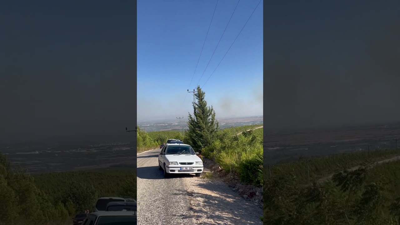 Sumbas orman yangını