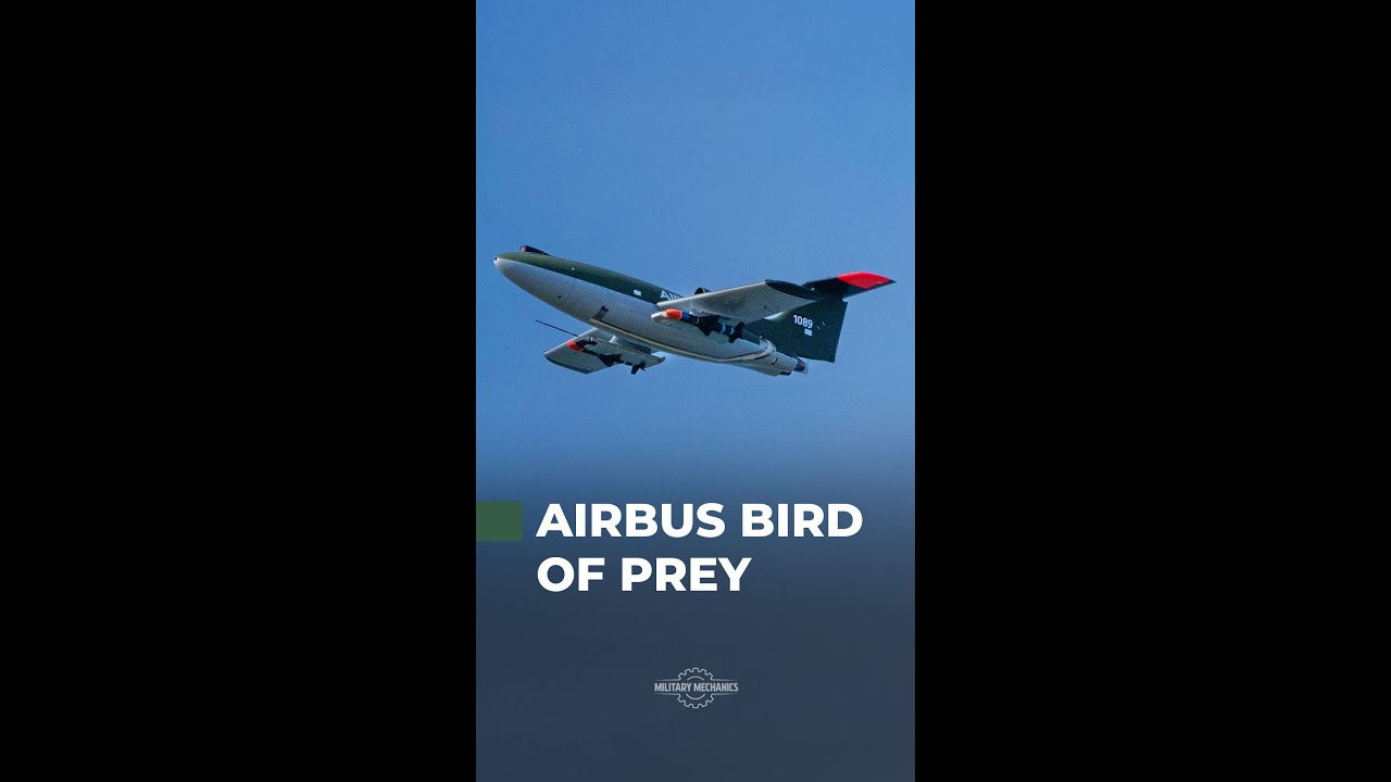 Airbus Bird of Prey: Охотник на дроны уже здесь!