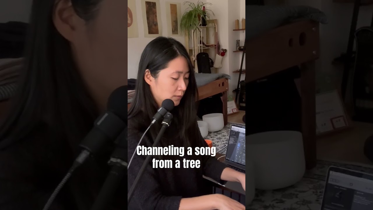 A meditative song from a tree 