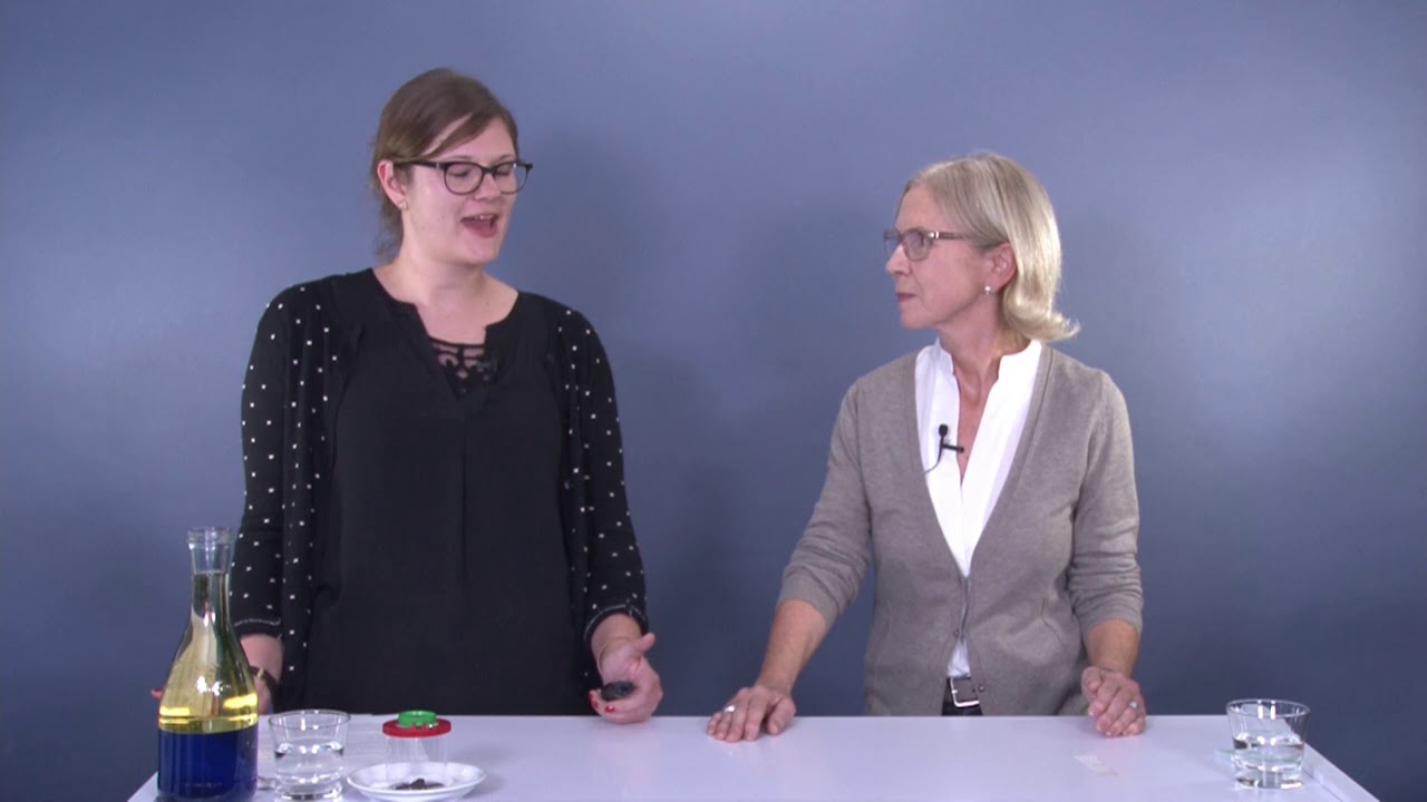 Online-Seminar: MINT und Vorlesen f&uuml;r Kinder im Grundschulalter