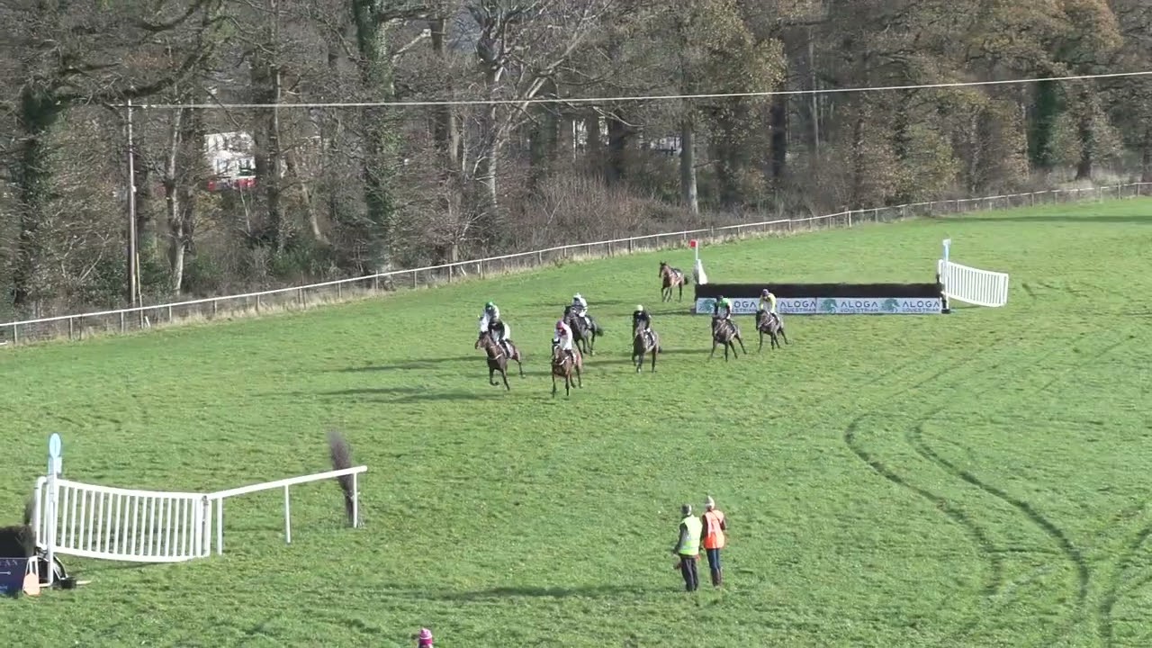 P2P - Borris House - 30 Nov 2025 - R2 - D1 Shark Hanlon Racing 4yo Geldings Maiden