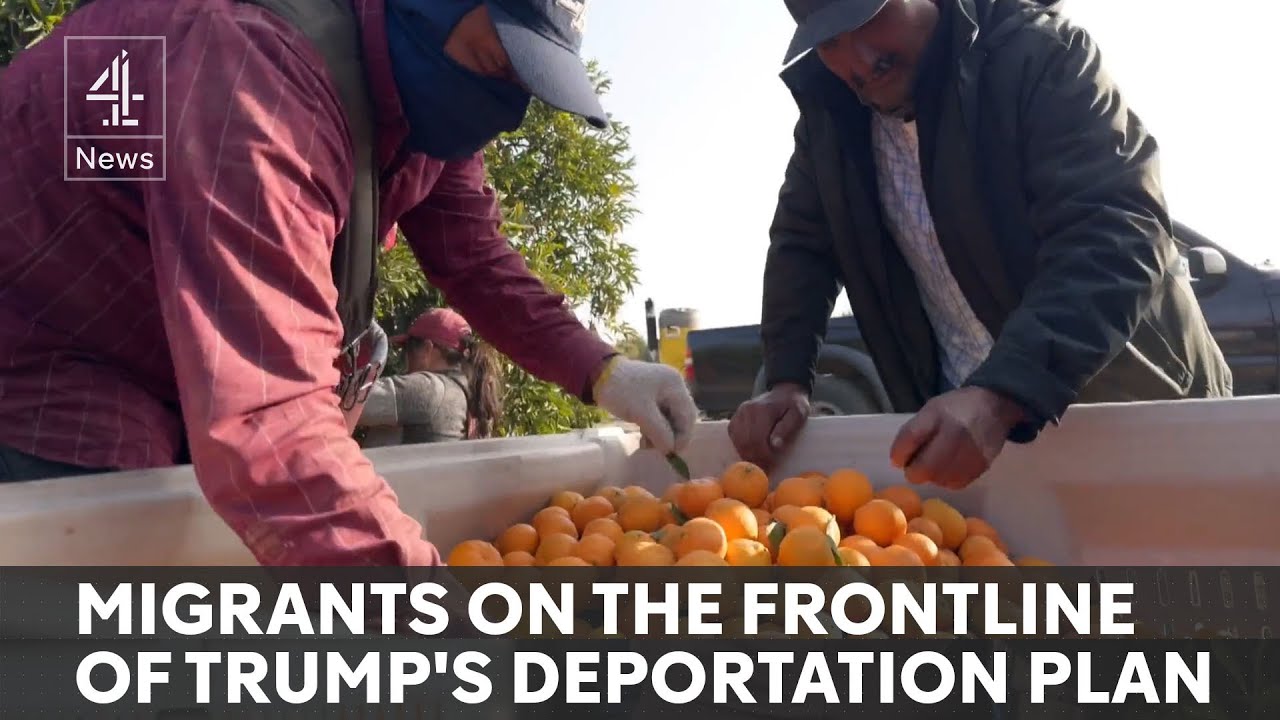 Undocumented migrants fear Trump’s ‘largest deportation programme’