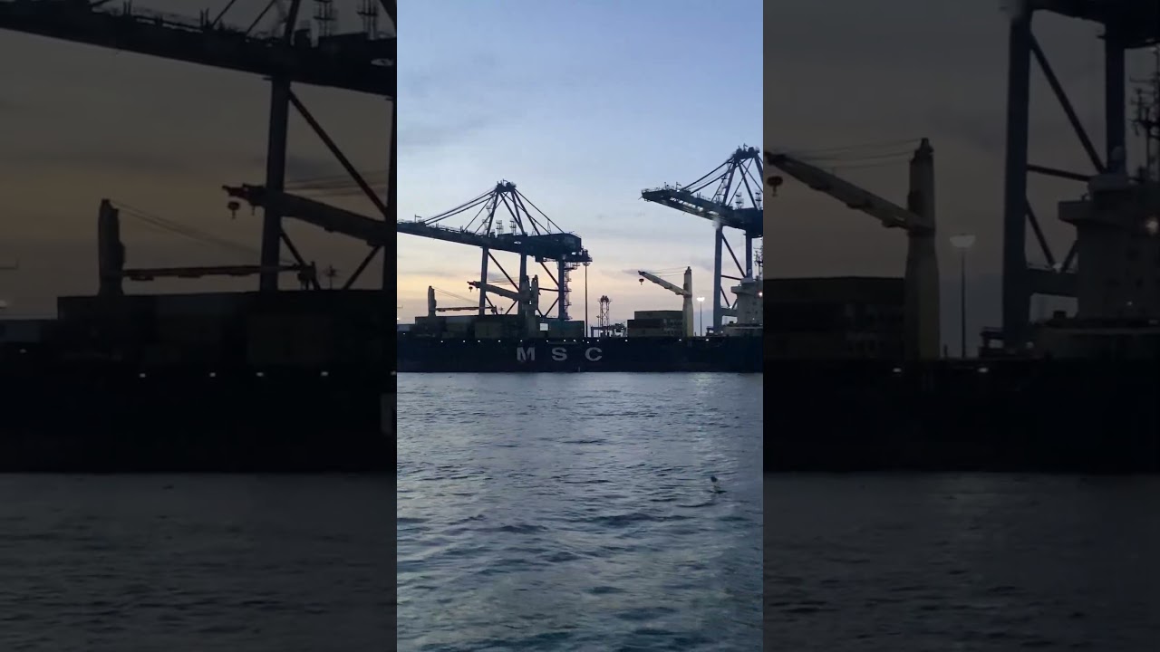 Container terminal DP world Cochin.