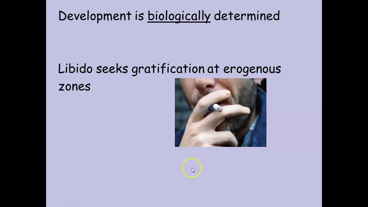 Psychology 290 - Freud's Psychosexual Stages