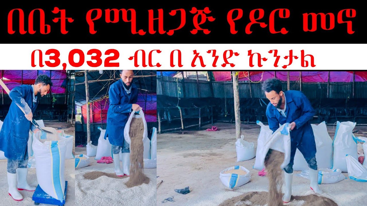በርካሽ ዋጋ በቤት ውስጥ የሚዘጋጅ የዶሮ መኖ ኪሎ 30 ብር ብቻ / cheap chicken feed in Ethiopia/