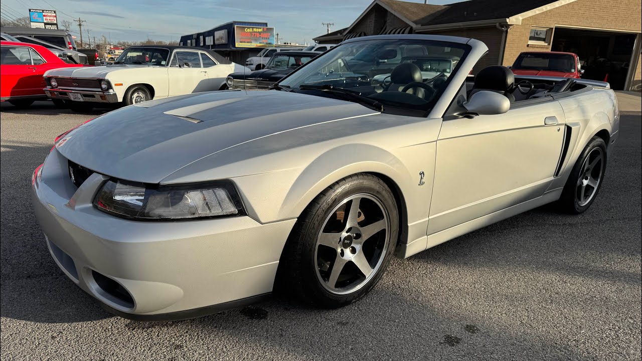 Test Drive 2004 Ford Mustang Cobra Convertible 