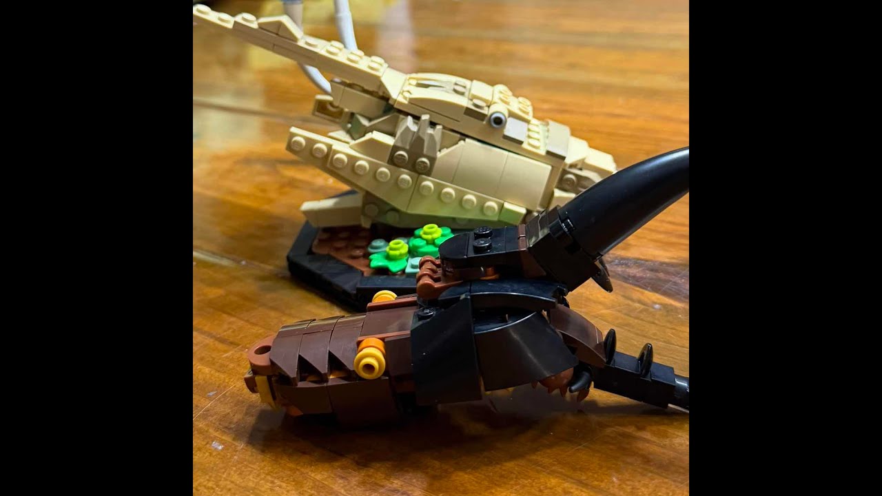 Beetle Build!