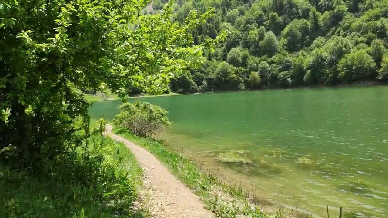 Sülüklü Göl Tabiat Parkı - Leech Lake Nature Park Türkiye