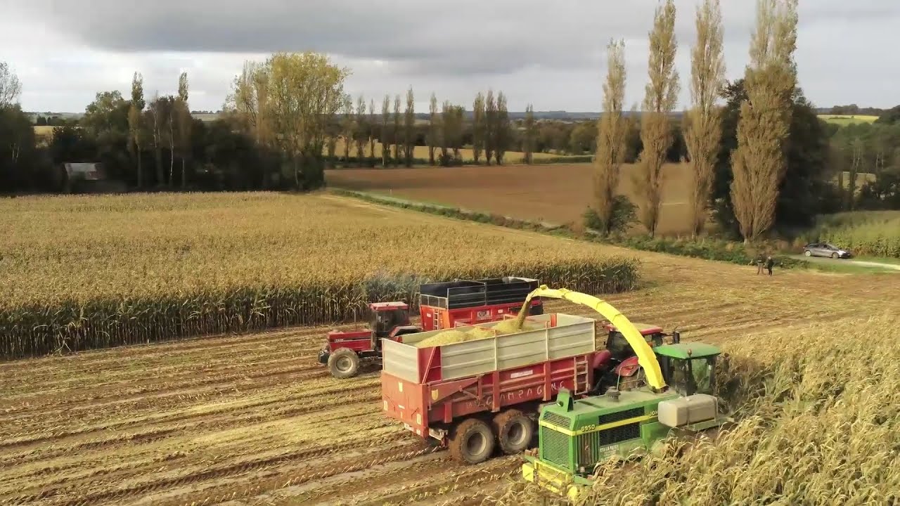 1455 XL à l'ensilage de maïs 2020🌽😍 | John Deere 6950 | ETA Le Paven